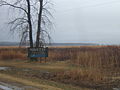 Entering Ninette, Manitoba