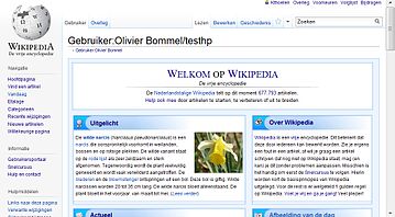 Screenshot 1024*768 in Firefox 4.0 (RC) door Kthoelen - getoond wordt het werkelijk zichtbare deel van de pagina. Hierdoor is de schermafdruk kleiner dan de aangegeven schermresolutie.