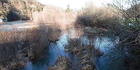 Mündung der Ärgera in die Saane