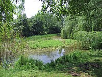 Sausee in Seckbach