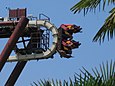 Sequoia Adventure im Gardaland