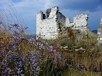 Sečoveljske soline in estuarij Dragonje