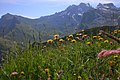 Vorschaubild der Version vom 15:45, 13. Sep. 2017