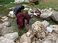 Qashqhaï women (nomadic shepperds) washing the just harvested wool. Sarab-e Bahram, Area of Noorabad, Fars, Iran, April 2007