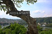 Arthur's Seat, Kandy