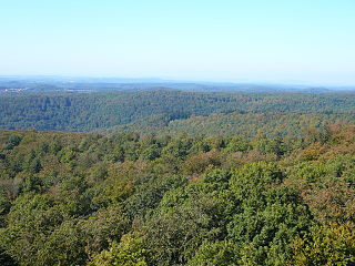 Blick vom Luitpoldturm auf dem Weißenberg auf das Holzland