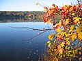 Cutler Pond