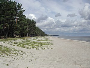Strand zwischen Jūrmala und Engure