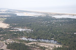 Aerial view of Heceta Beach and surroundings