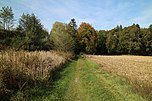 Kaiserwald bei Weitendorf