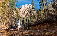 West Fork Trail In Sedona. AZ.