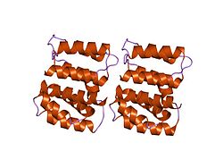 Matrixprotein 1