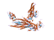 1y1u: Structure of unphosphorylated STAT5a