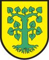 Wappen von Borne Sulinowo