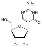 Pseudoisocytidin 3H-Tautomer