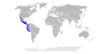 Verbreitungsgebiet des Korona-Hammerhais