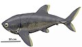 Tafilalichthys