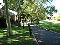 View looking down Wippen Drive on the campus of Stevens Institute of Technology.