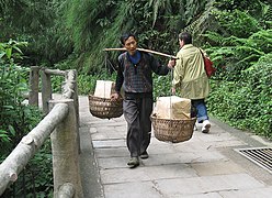 Tragjochtransport in China