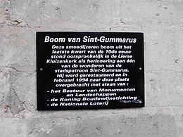 Bijschrift Sint-Gummarusboom