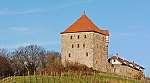 Burg Wildeck (Abstatt) 14. November 2010