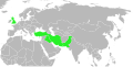 00.32, 13 Kasım 2011 tarihindeki sürümün küçültülmüş hâli