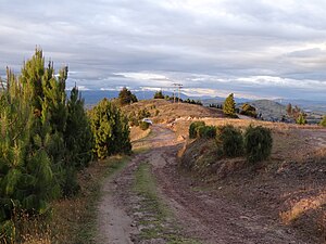 Rural road