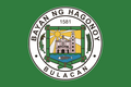 Flag of Hagonoy