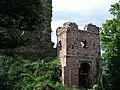 Reste des Torturms der Burg Hugstein