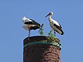 Vorschaubild der Version vom 18:59, 5. Mai 2018