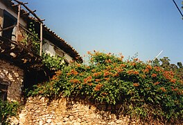 Verlassenes traditionelles griechisches Haus in Parthenonas, Gemeindebezirk Neos Marmaras