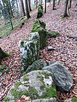 Homberg / Wellenweid, neuzeitliche Weidmauer