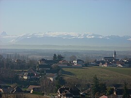 A general view of Sauvagnon