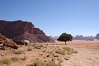 Schutzgebiet Wadi Rum