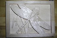 1. A low relief carving of a Dragonfly