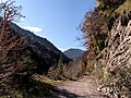 Gießenbachtal. Im Hintergrund der Brünstelskopf.