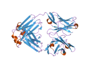 2h3n: Crystal structure of a surrogate light chain (LAMBDA5 and VpreB) homodimer