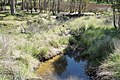 Downstream from the culvert