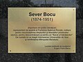 Sever Bocu (1874–1951)