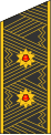 Віце-адмірал (Vice-admiral) Ucraina