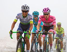 Esteban Chaves, Steven Kruijswijk, Vincenzo Nibali und Rafał Majka im Anstieg zum Colle dell’Agnello. Ein Sturz in der Abfahrt machte Kruijswijks Chancen auf den Sieg der Rundfahrt zunichte.