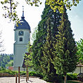 Evangelische Stadtkirche