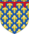 1246'da Napoli Krallığı arması. "Antik Anjou" arması üst tarafına "Gules" senbolu ekli arma.