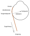 Vorschaubild der Version vom 19:27, 6. Aug. 2009