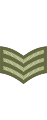 Sergeant (Antigua and Barbuda Regiment)[25]