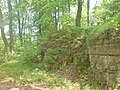 Die Burg Birkenstein wurde bald nach ihrer Errichtung wieder aufgegeben