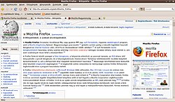 Mozilla Firefox 3.04 verziójának képernyőképe Ubuntu 8.10 operációs rendszeren.