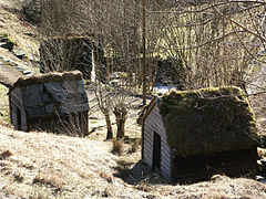 Bekkekverner langs elven. Foto: Frode Inge Helland