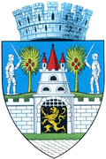 Wappen von Satu Mare