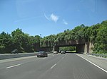 A six lane freeway in a wooded area with a overpass containing trees